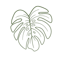 Decorative monstera leaf background